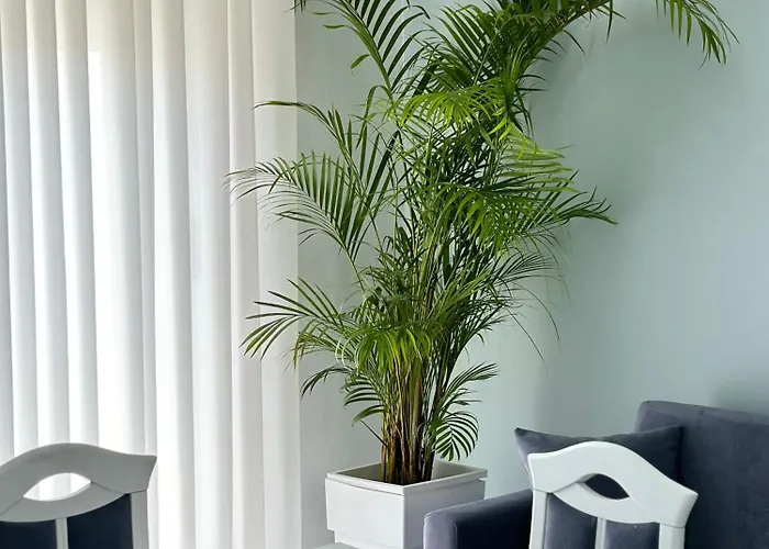 公寓 Philip Sea View *